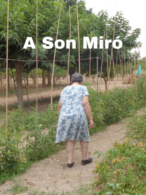 A Son Miró постер