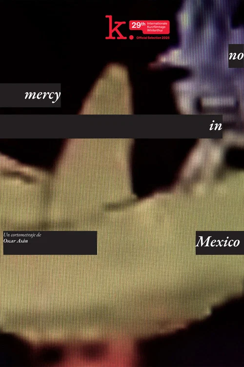 no_mercy_in_mexico постер