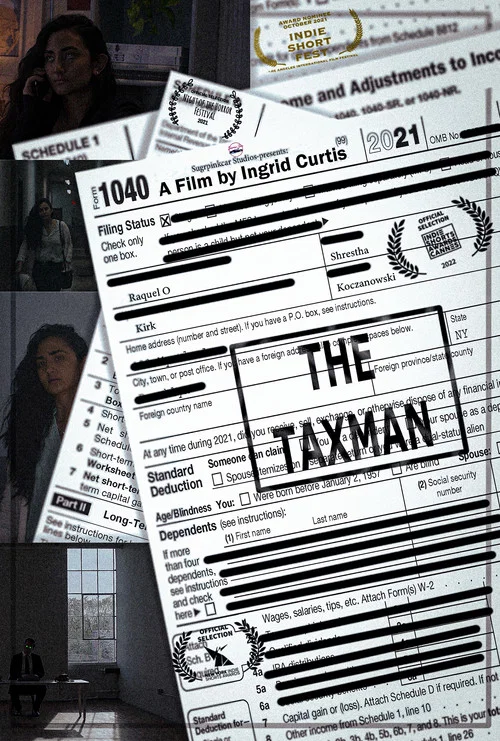 The Taxman постер