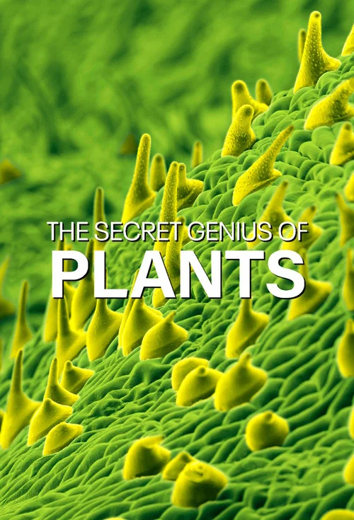 The Secret Genius of Plants постер