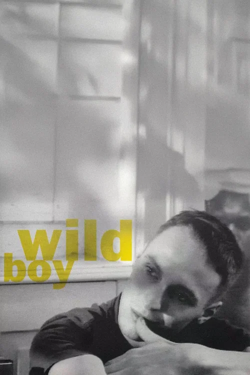 Wild Boy постер