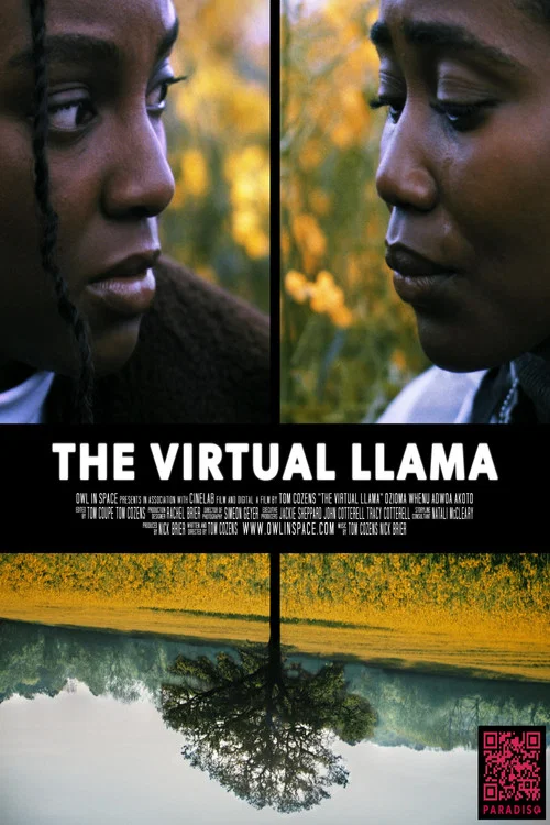 The Virtual Llama постер