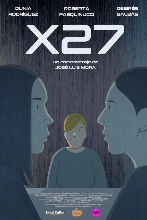 X27 постер