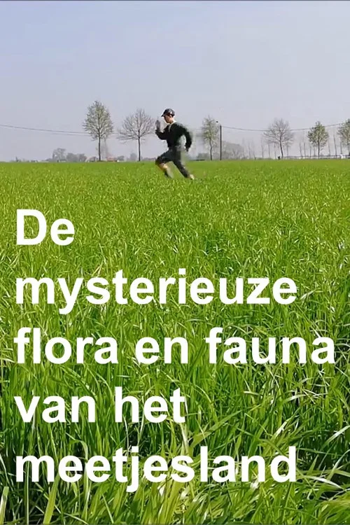 De mysterieuze flora en fauna van het Meetjesland постер