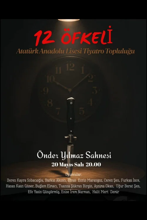 12 Kızgın постер