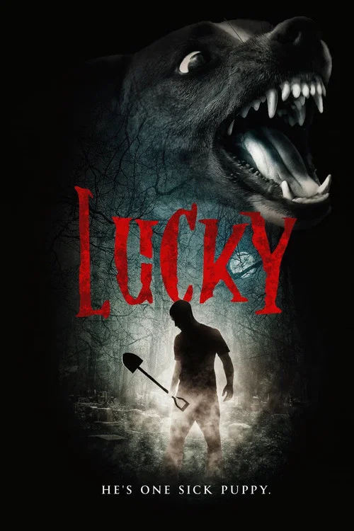 Lucky постер