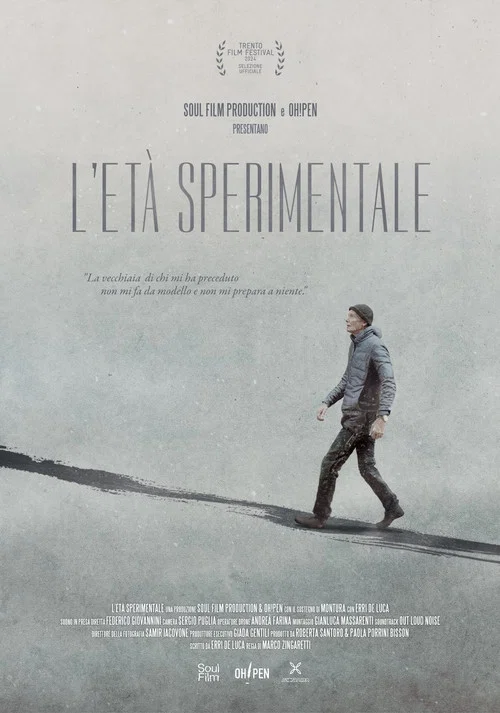 L'età Sperimentale постер