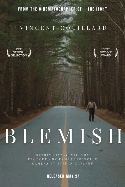 Blemish постер