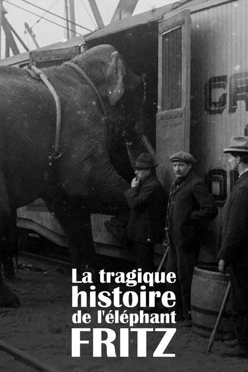 La Tragique Histoire de Fritz l'éléphant постер
