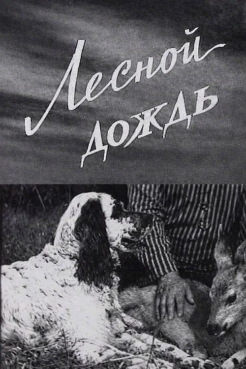 Лесной дождь постер