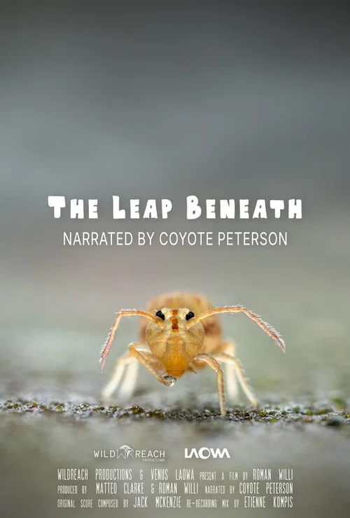 The Leap Beneath постер