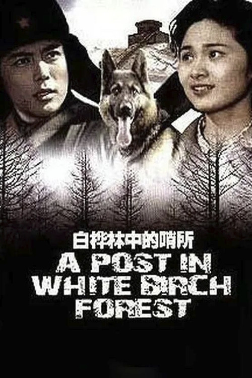 白桦林中的哨所 постер