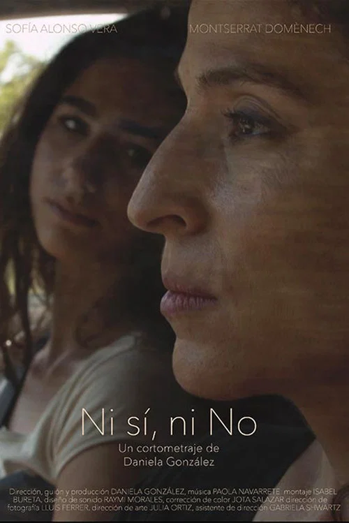 Ni sí, ni no постер