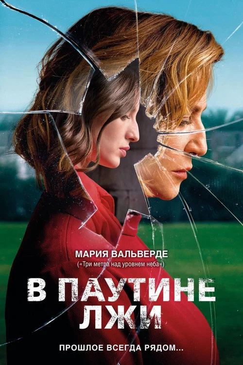 В паутине лжи постер