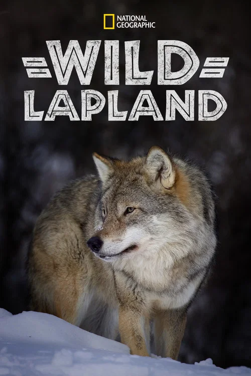 Wild Lapland постер
