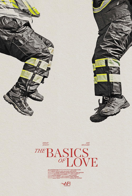The Basics of Love постер