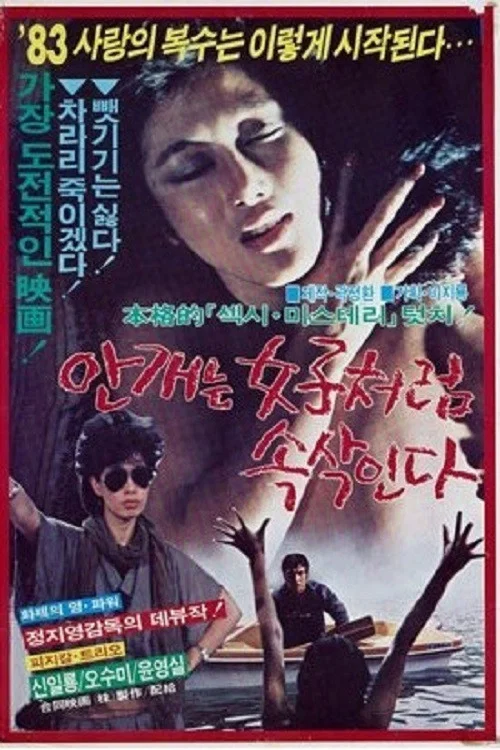 안개는 女子처럼 속삭인다 постер