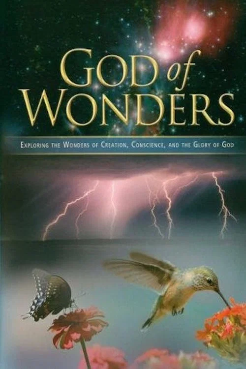 God of Wonders постер