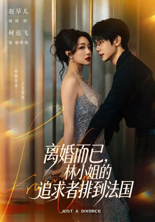 离婚而已，林小姐的追求者排到法国 постер