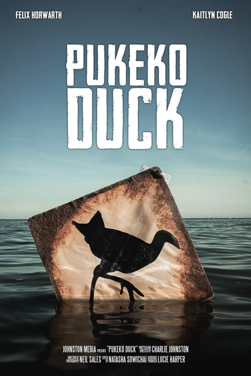 Pukeko Duck постер