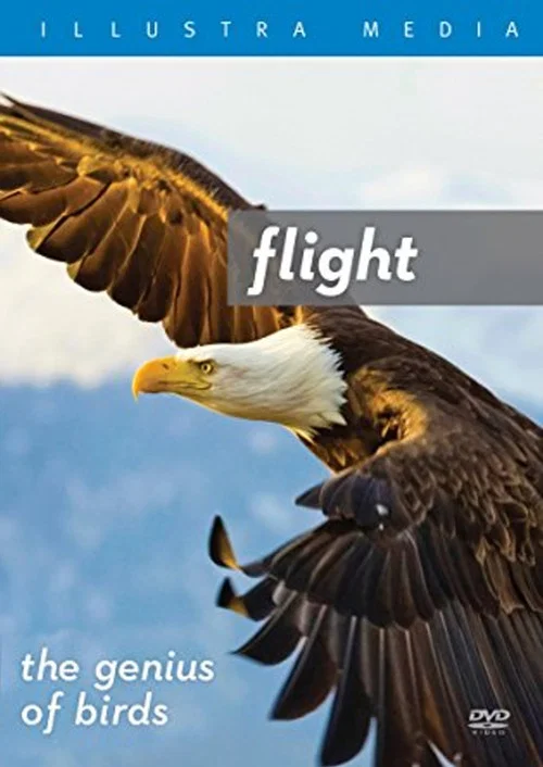 Flight: The Genius of Birds постер