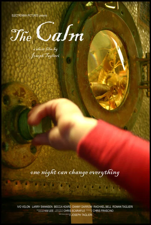 The Calm постер