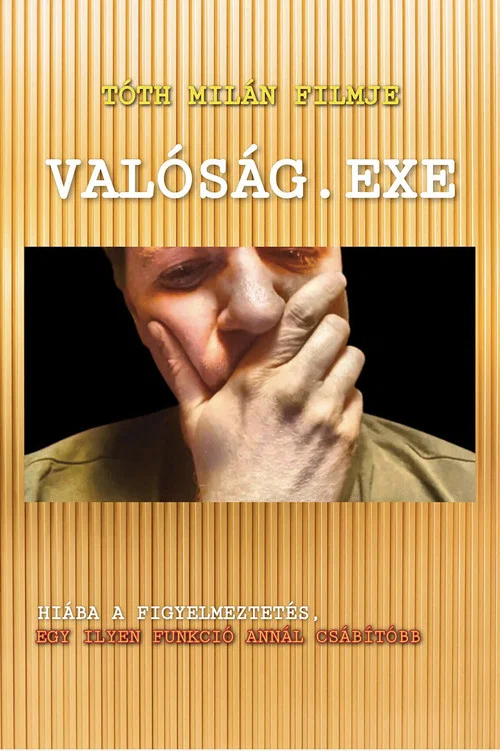 Valóság.exe постер