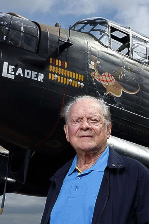 Flying for Britain with David Jason постер