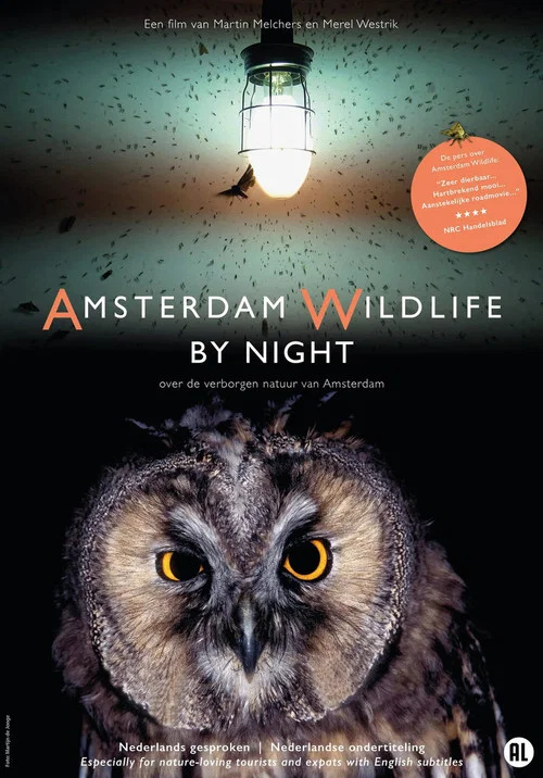 Amsterdam Wildlife by Night постер