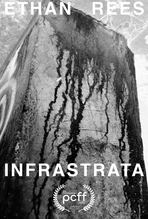 INFRASTRATA постер
