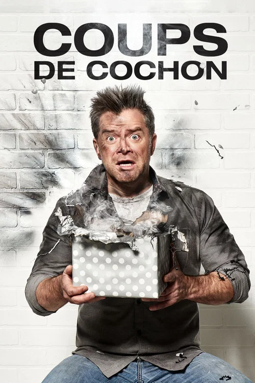 Coups de cochon постер