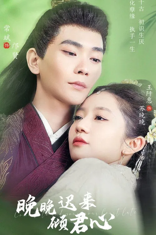 晚晚迟来倾君心 постер