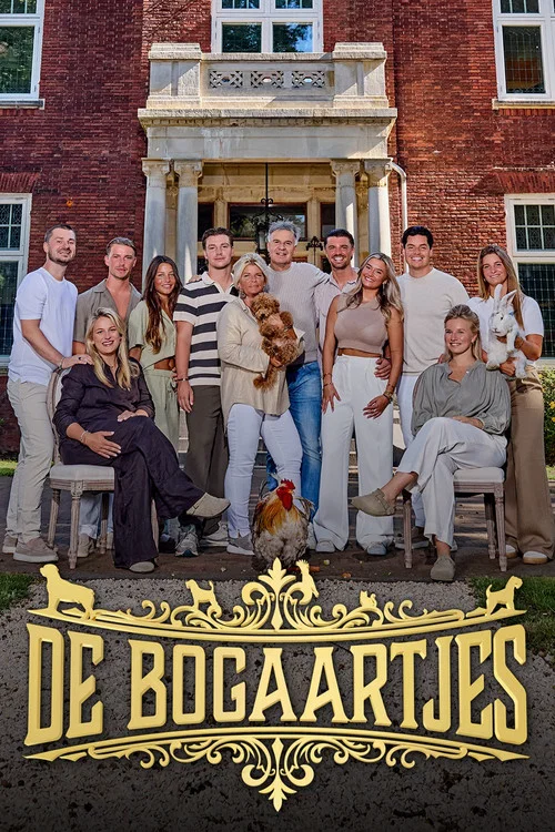 De Bogaartjes постер