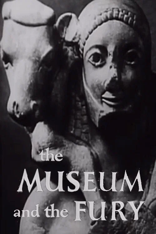 The Museum and the Fury постер