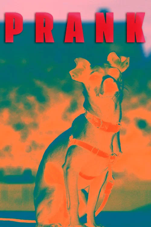 Prank постер