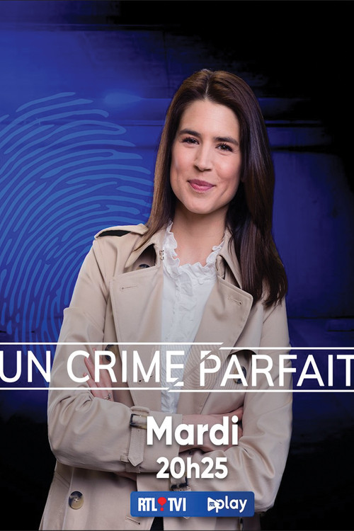 Un crime parfait ? постер