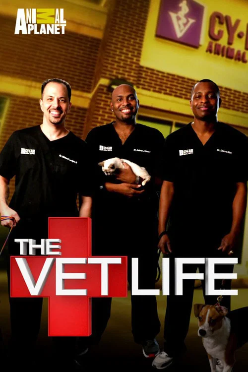 The Vet Life постер
