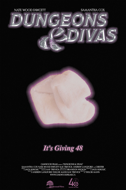 Dungeons & Divas постер