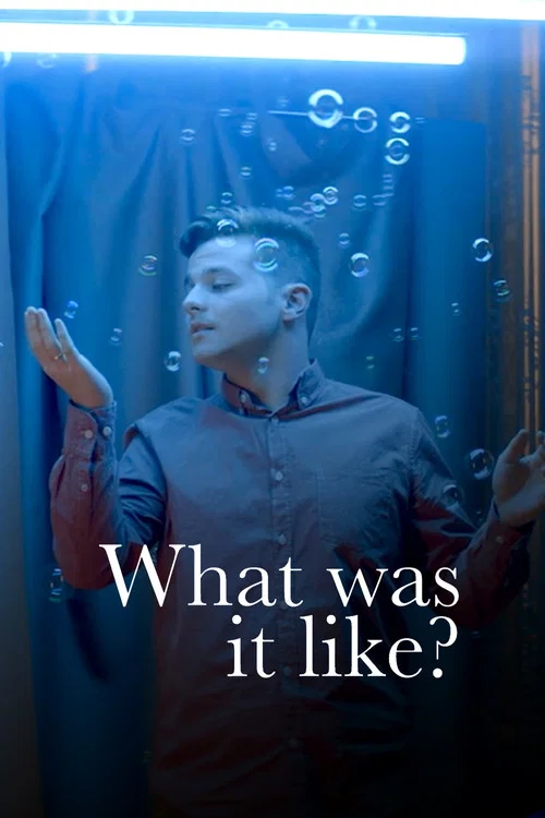 What Was It Like? постер