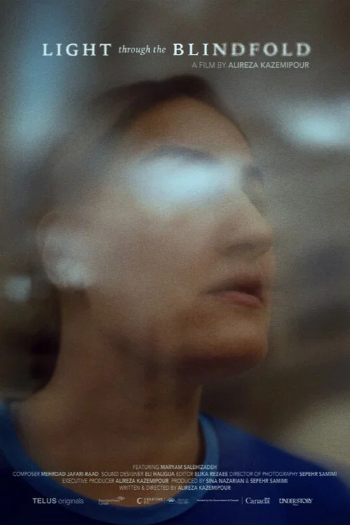 Light Through the Blindfold постер