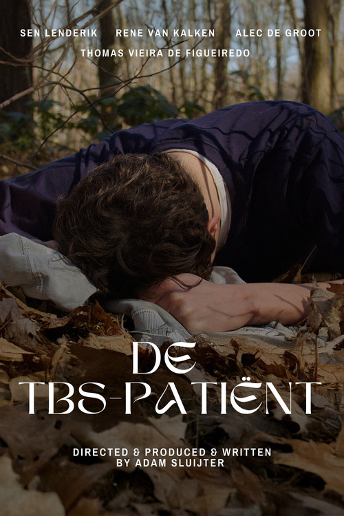 De TBS-patiënt постер
