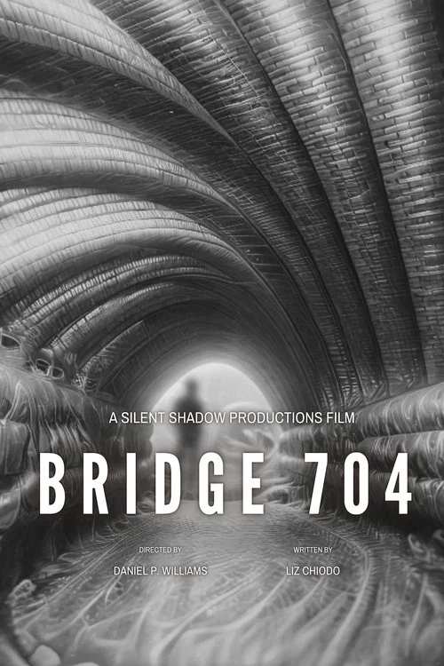 Bridge 704 постер