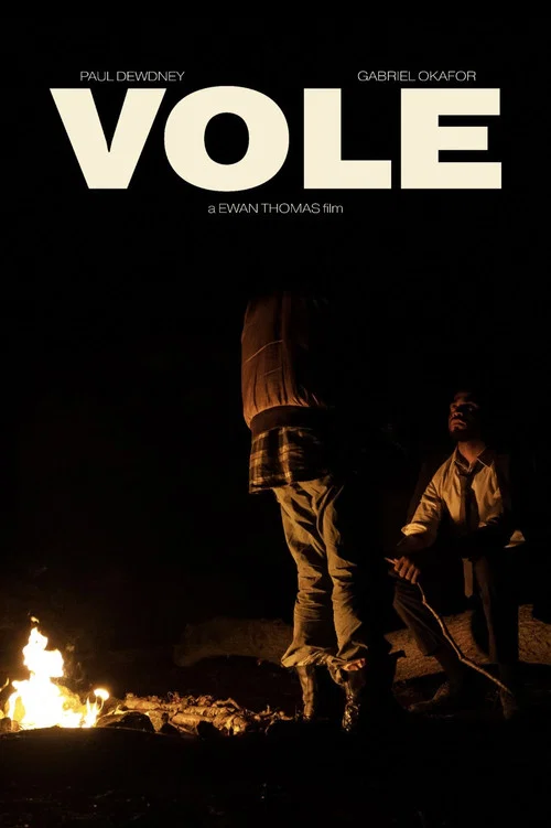 Vole постер