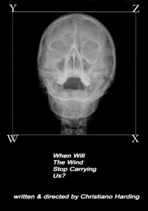 When Will The Wind Stop Carrying Us? постер