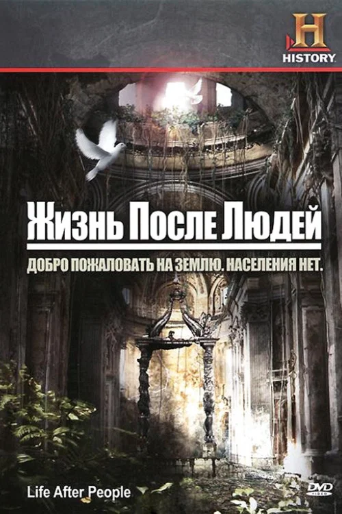 Жизнь после людей постер