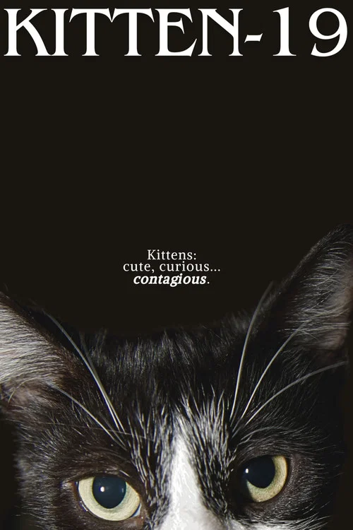 Kitten-19 постер