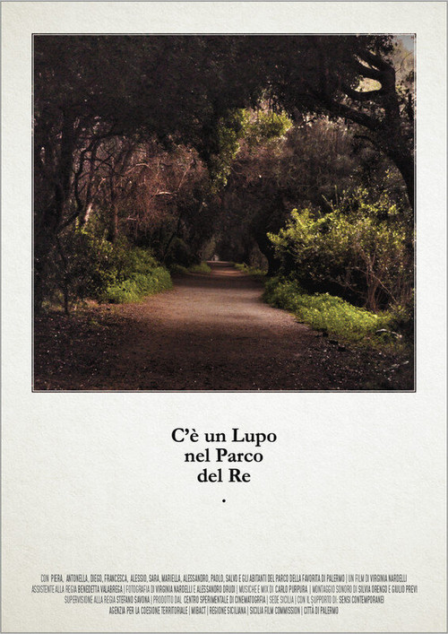 C'è un lupo nel parco del re постер