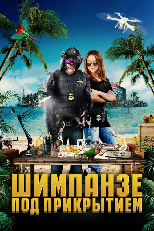 Шимпанзе под прикрытием постер