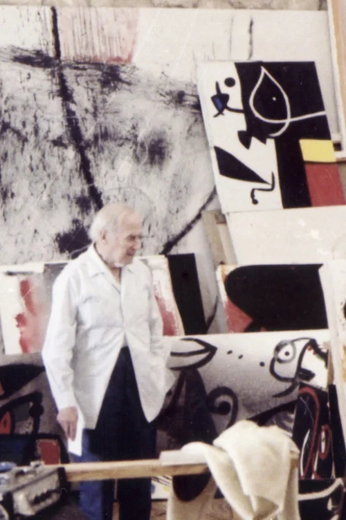D’un roig encès: Miró i Mont-roig постер