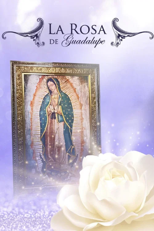 La Rosa De Guadalupe постер
